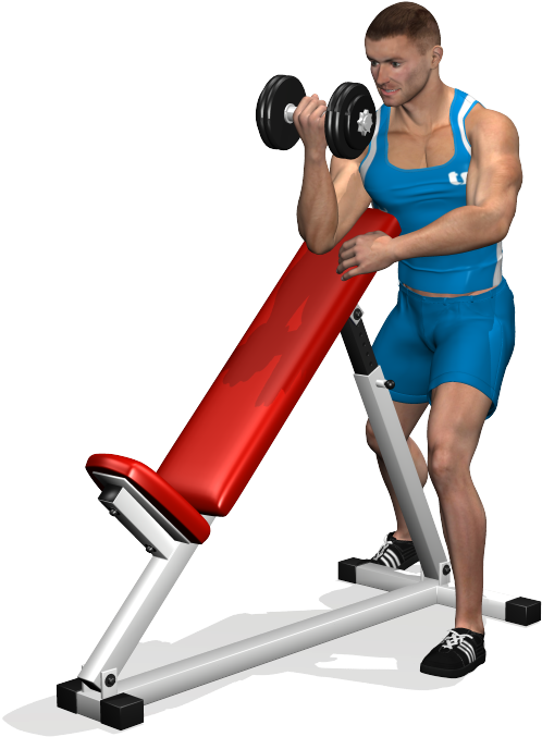 Man Performing Dumbbell Curlsat Gym PNG image