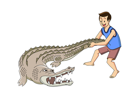 Man Wrestling Crocodile Cartoon PNG image