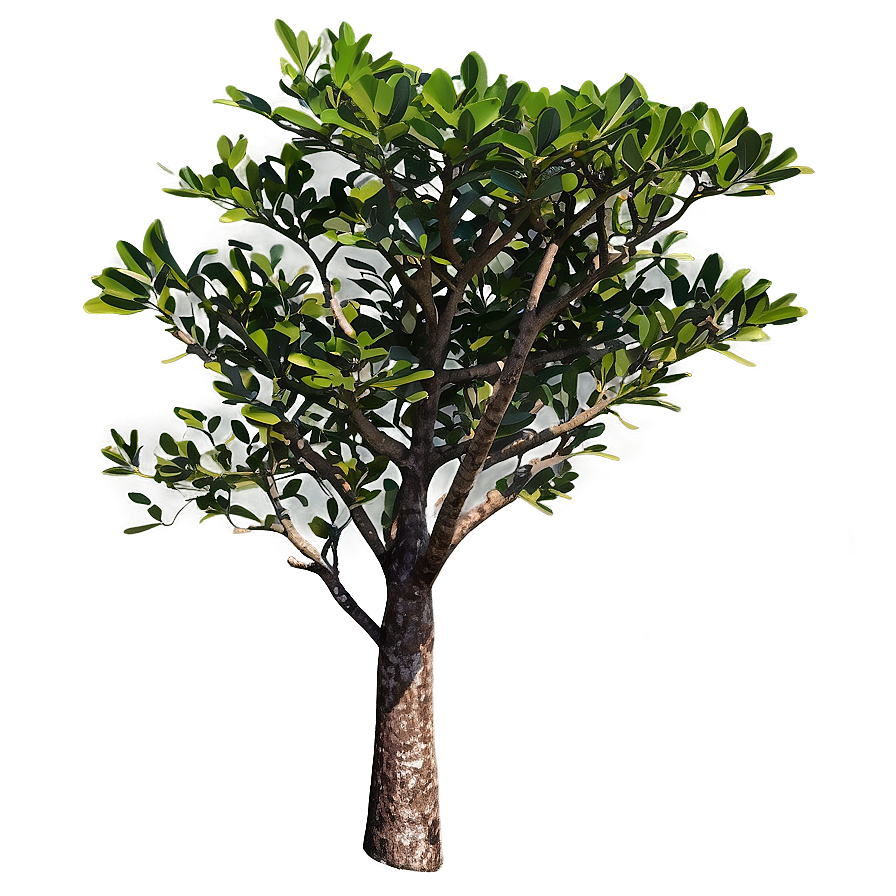 Mangrove C PNG image