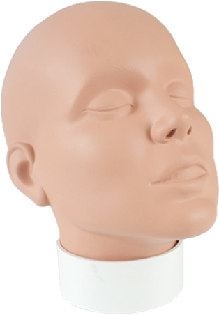 Mannequin Head Display PNG image