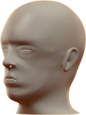 Mannequin Head Profile View PNG image