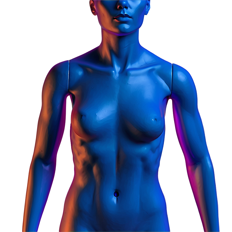 Mannequin Torso With Clothes Png 06282024 PNG image