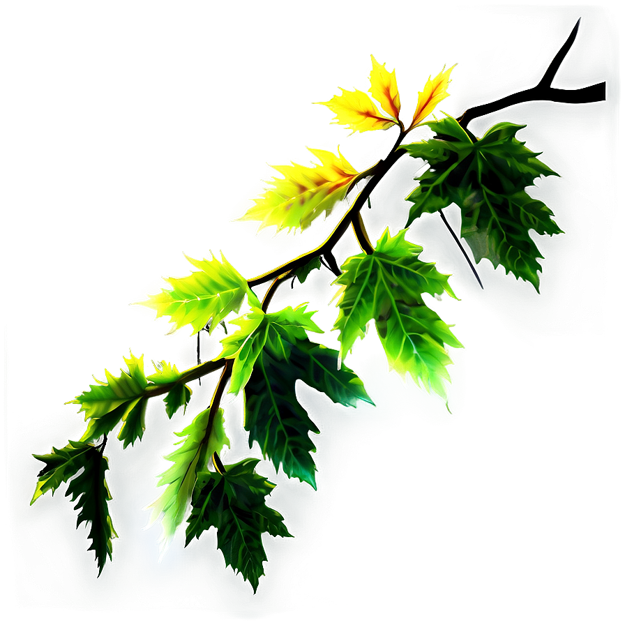 Maple Tree Branch Png Owf88 PNG image