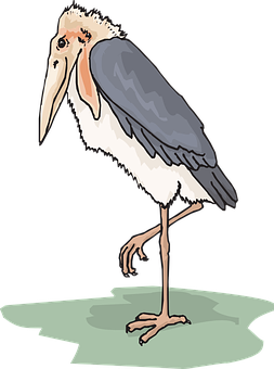 Marabou Stork Illustration PNG image