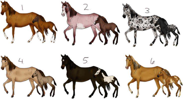 Mare_and_ Foal_ Varieties PNG image