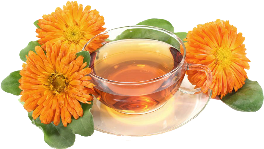 Marigold Tea Transparent Background PNG image