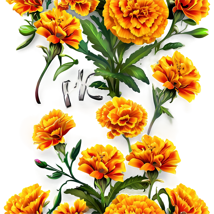 Marigolds And Butterflies Png 06132024 PNG image