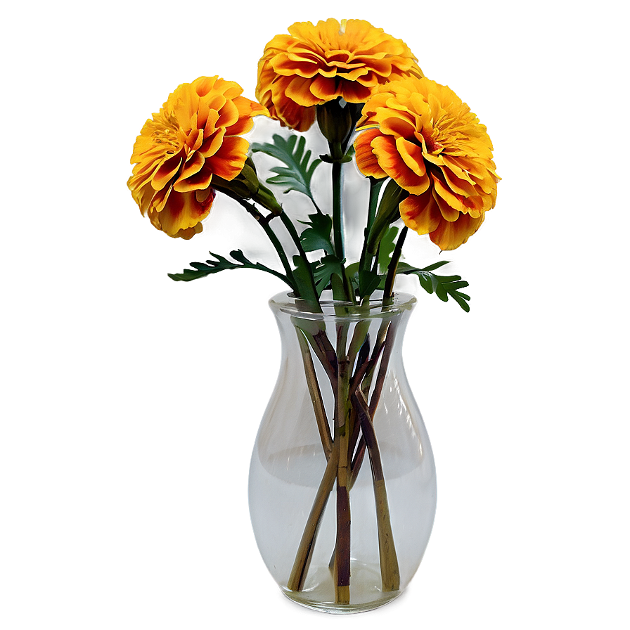 Marigolds In Vase Png 83 PNG image