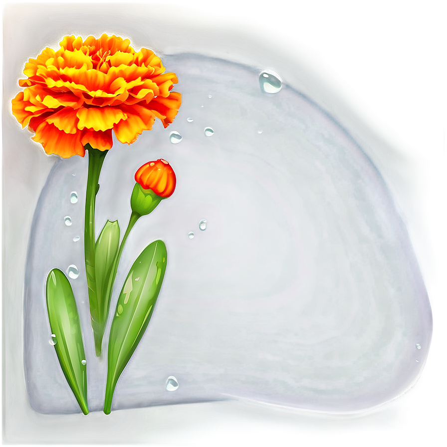 Marigolds With Dew Drops Png Esp PNG image