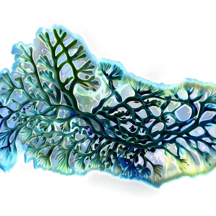 Marine Algae Artwork Png Faf PNG image