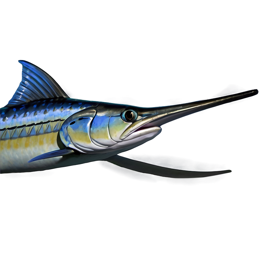 Marlin B PNG image