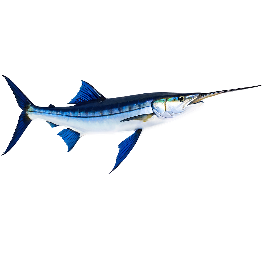 Marlin Fish Tail Png 06242024 PNG image