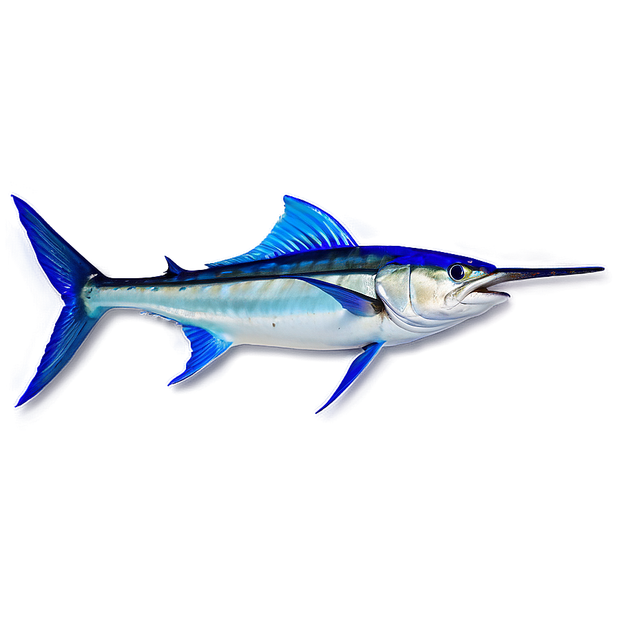 Marlin Fishing Adventure Png Scf PNG image