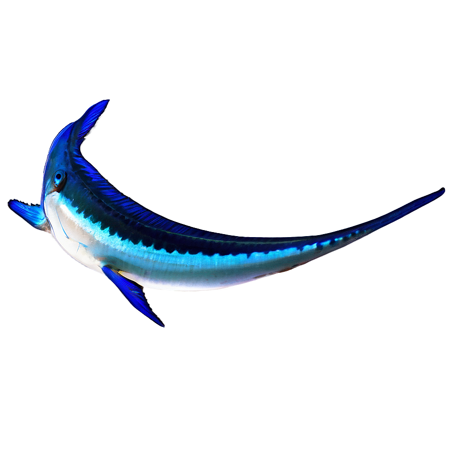 Marlin Fishing Challenge Png 84 PNG image