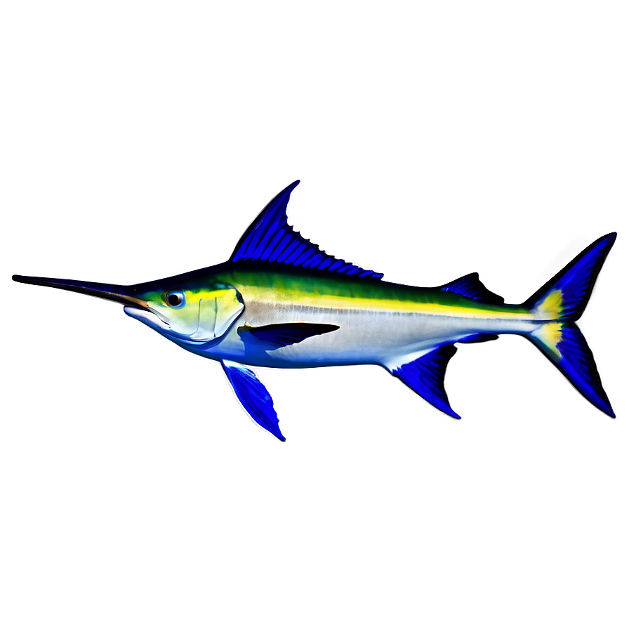 Marlin In Coral Reef Png Krs49 PNG image