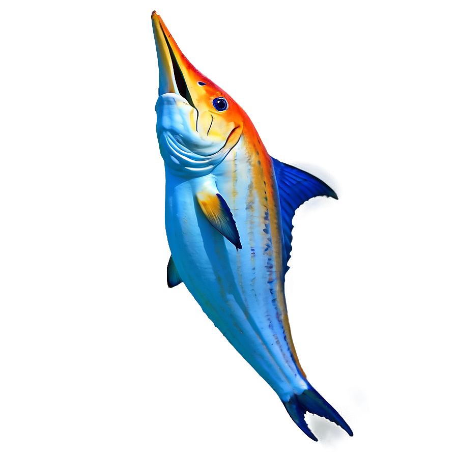 Marlin Png Images (100++)