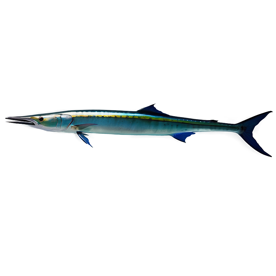 Marlin Spearfishing Png Xdj57 PNG image