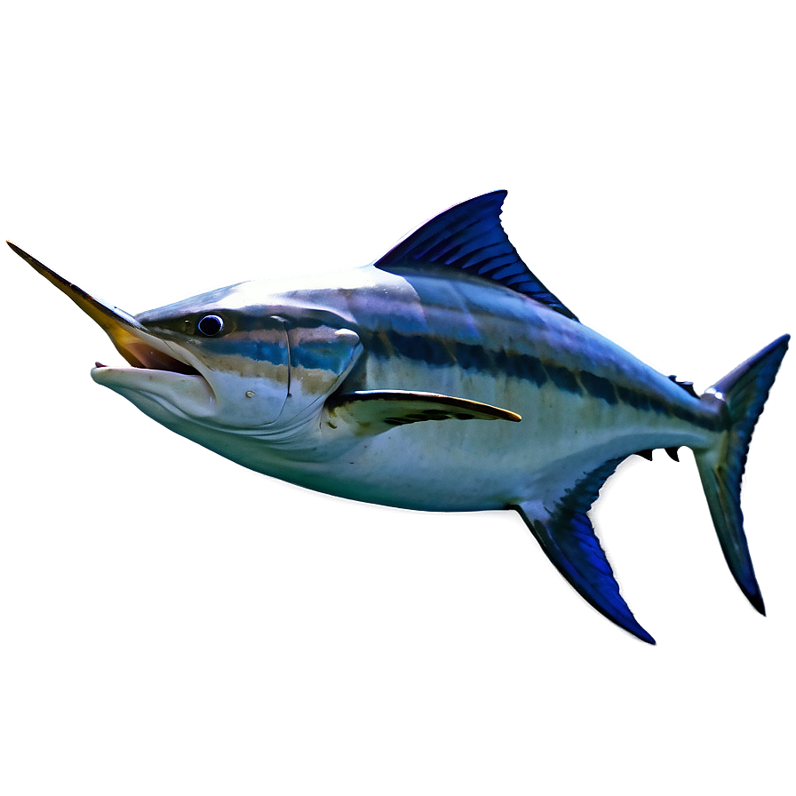 Marlin Speeding Png 06242024 PNG image