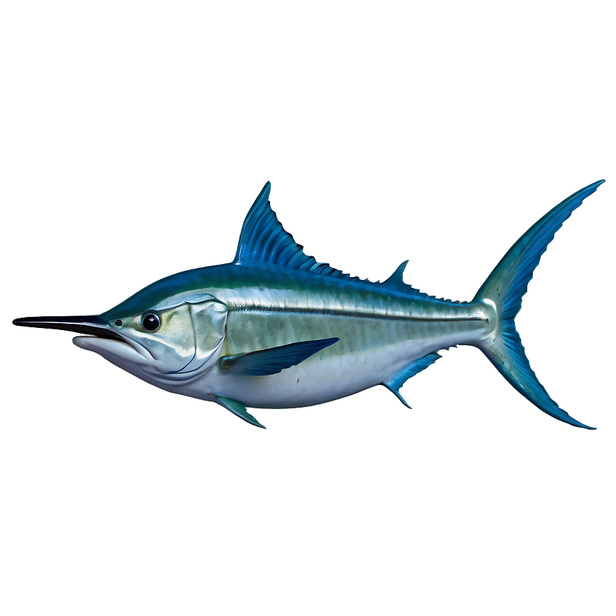 Marlin Speeding Png Lfy PNG image