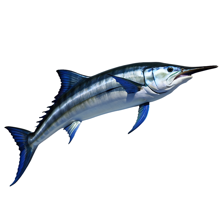 Marlin Speeding Png Uyj PNG image