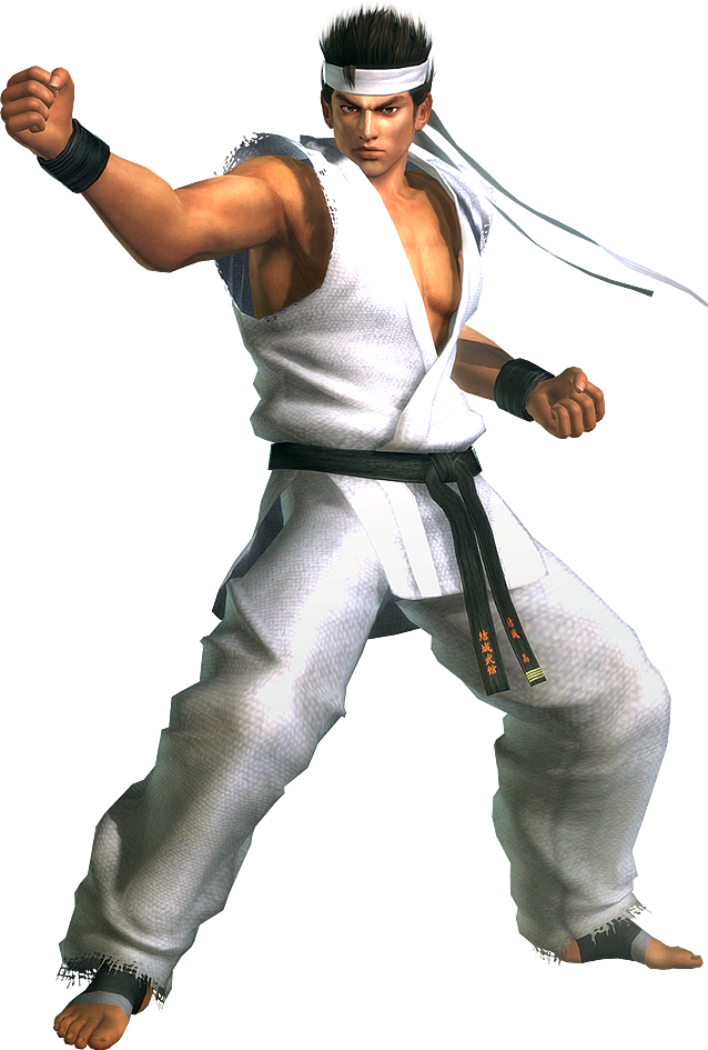 Martial Artistin Combat Pose PNG image