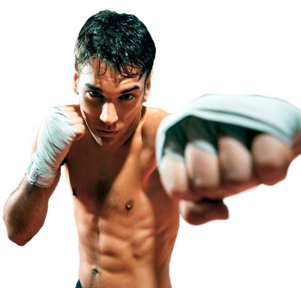 Martial Arts Fighter Ready Pose PNG image