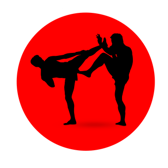 Martial Arts High Kick Silhouette PNG image
