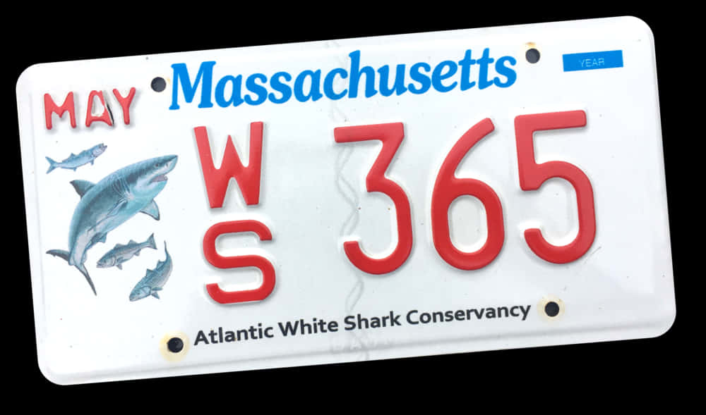 Massachusetts Shark Conservancy License Plate PNG image