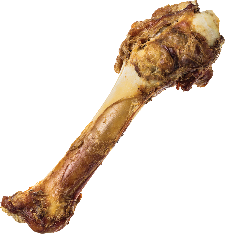 Meaty Bone Isolatedon Background PNG image