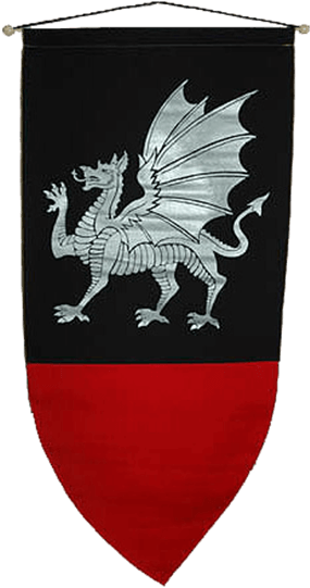 Medieval Dragon Banner PNG image