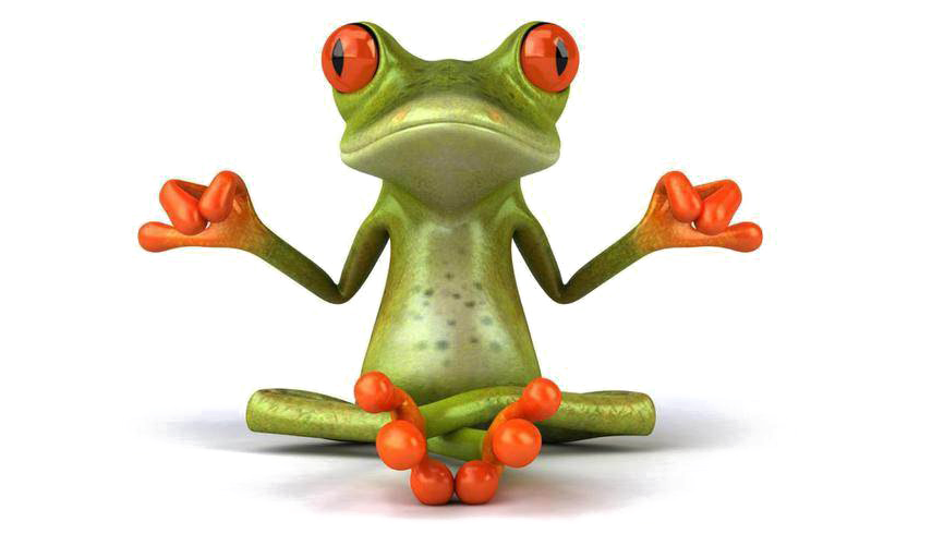 Meditating Frog Cartoon PNG image