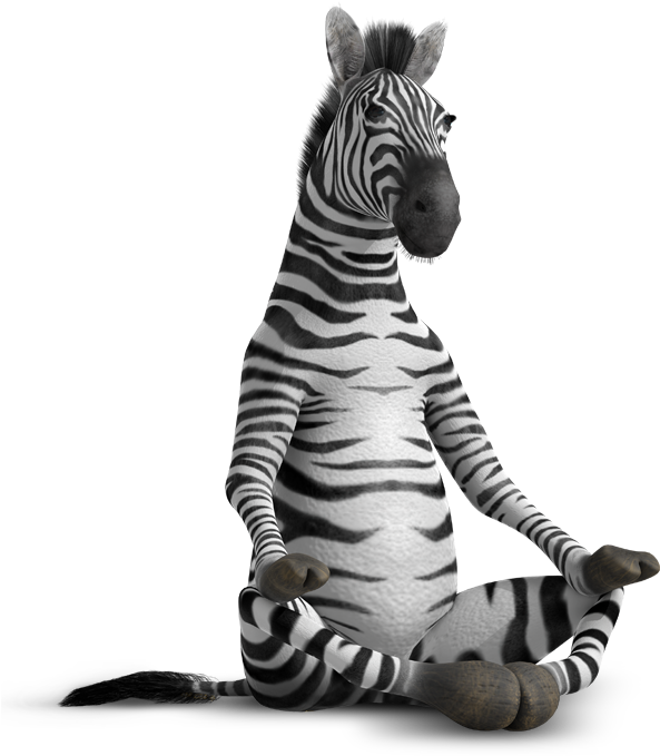 Meditative Zebra Crosslegged Pose PNG image