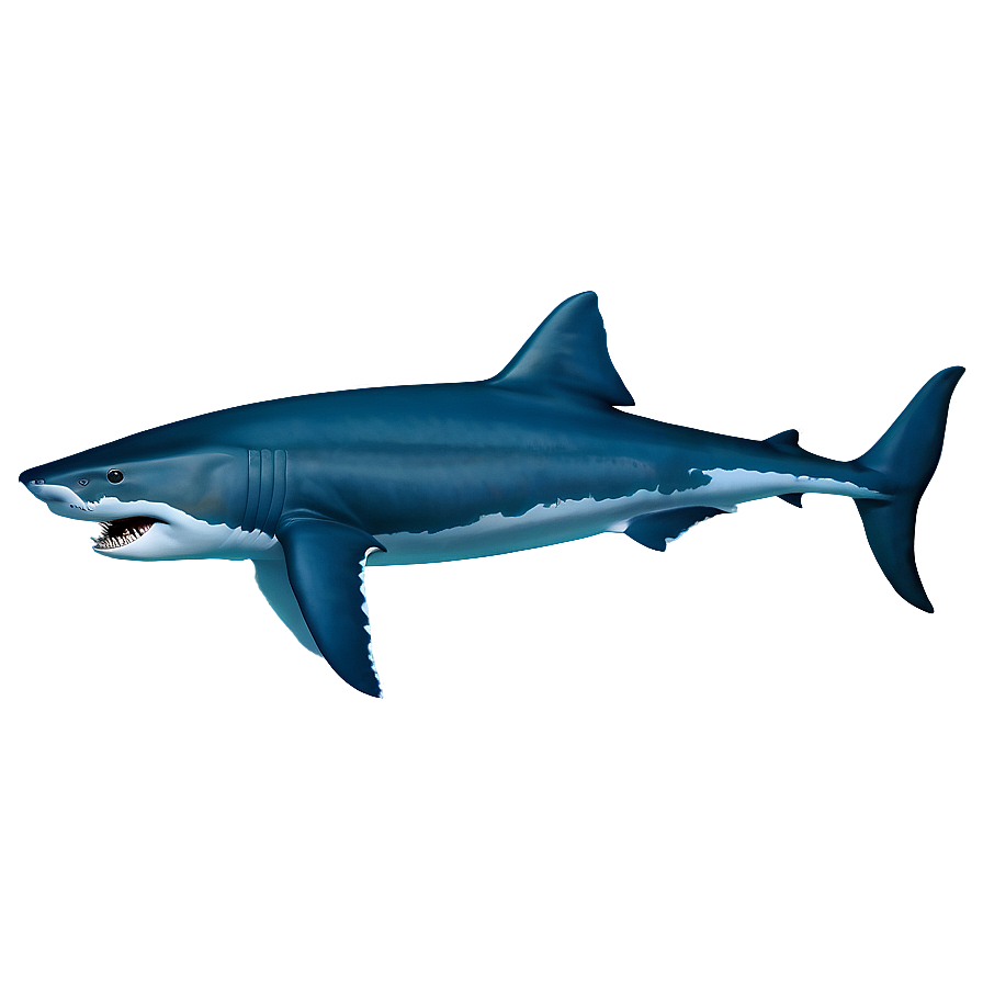 Megalodon In Natural Habitat Png 9 PNG image