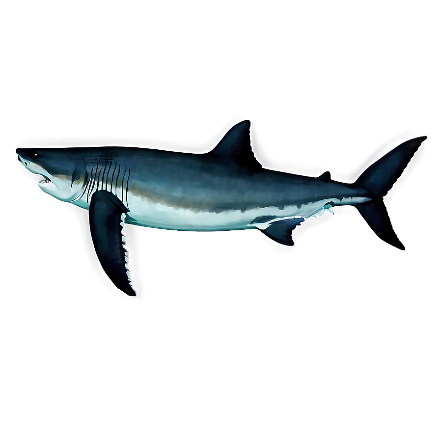 Megalodon Side View Png Nbx12 PNG image