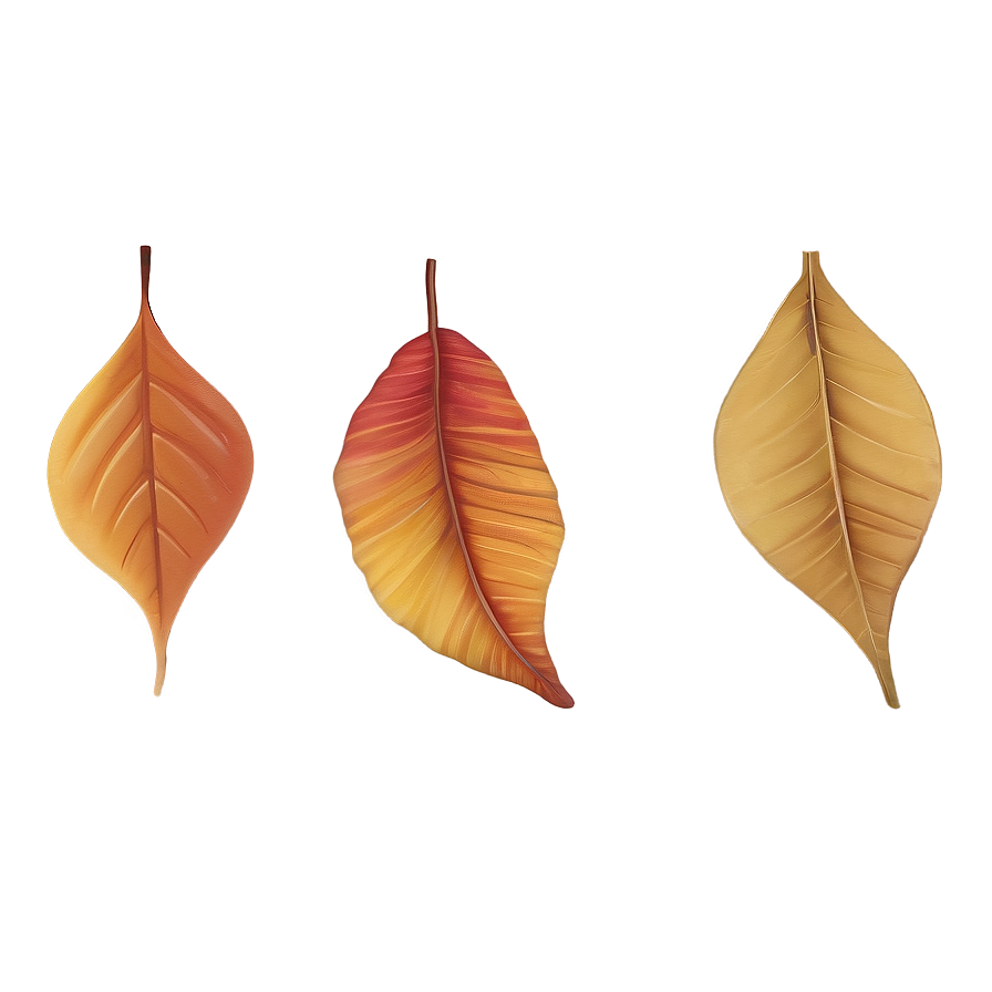 Melancholic Leaves Fall Png 31 PNG image