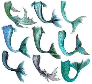 Mermaid Tail Collection Digital Art PNG image