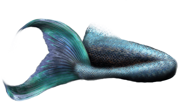 Mermaid Tail Realistic Design PNG image