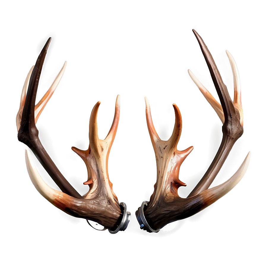 Metallic Deer Antler Png Fsg PNG image