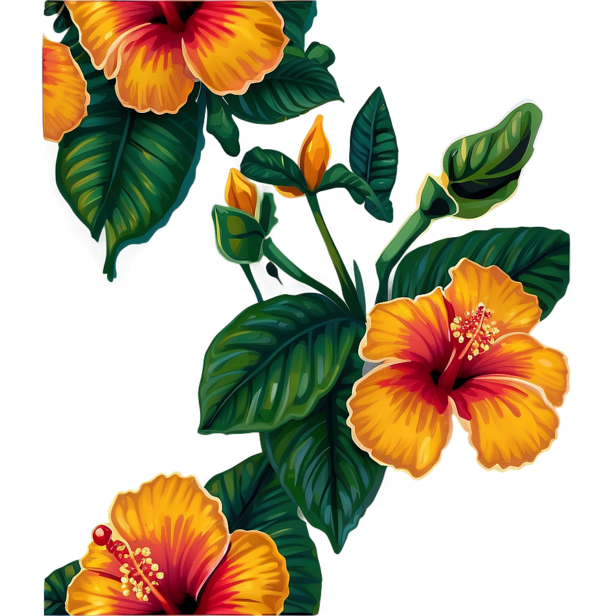 Mexican Hibiscus Flowers Png 10 PNG image