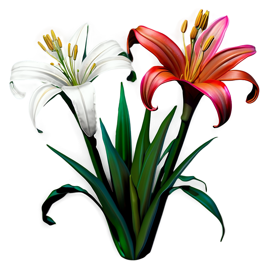 Mexican Lily Flowers Png Pcw1 PNG image