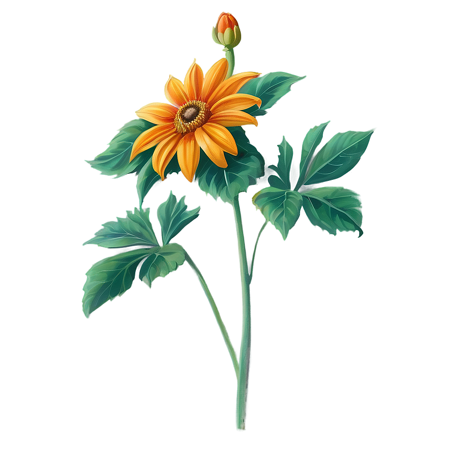 Mexican Sunflower Png 4 PNG image