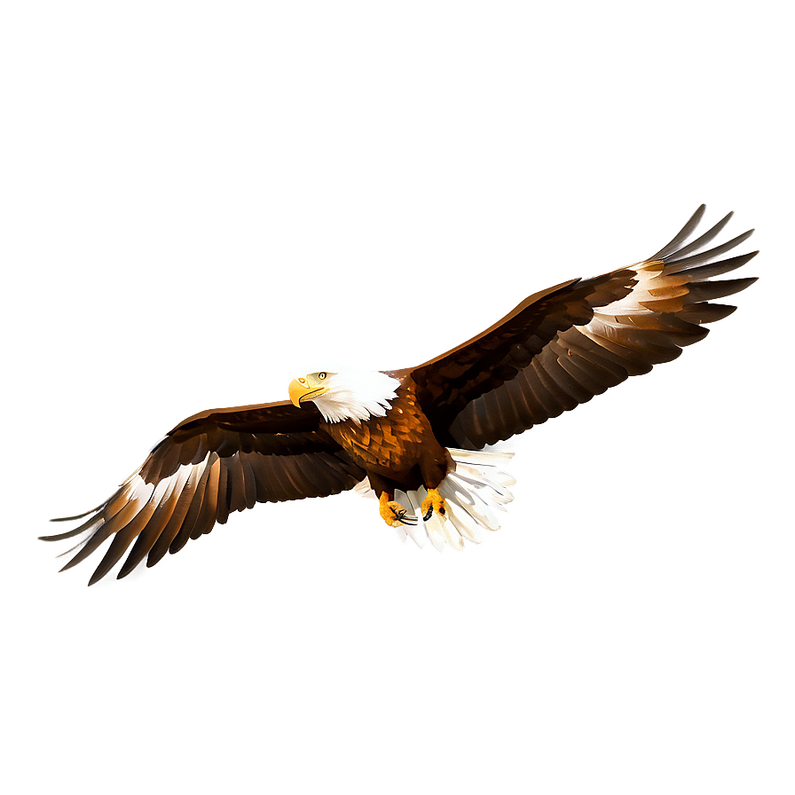 Mexico Eagle Wing Spread Png 76 PNG image