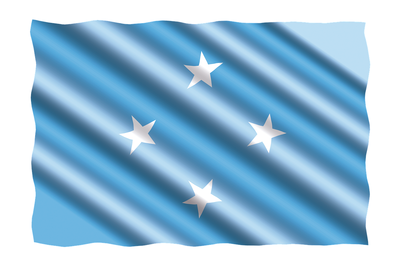 Micronesian Flag Wavy Texture PNG image