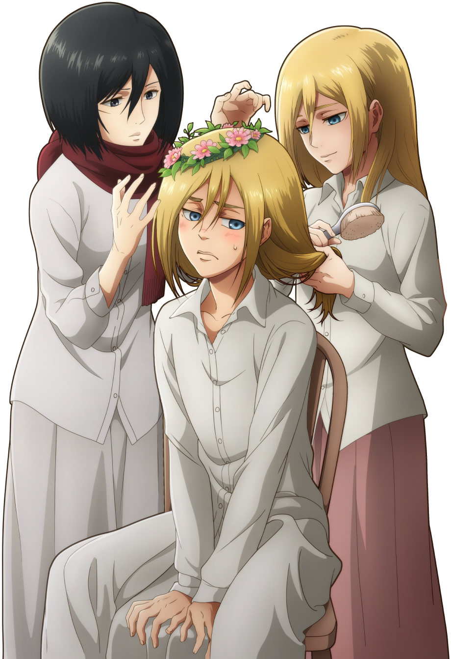 Mikasa_and_ Friends_ Grooming_ Session PNG image