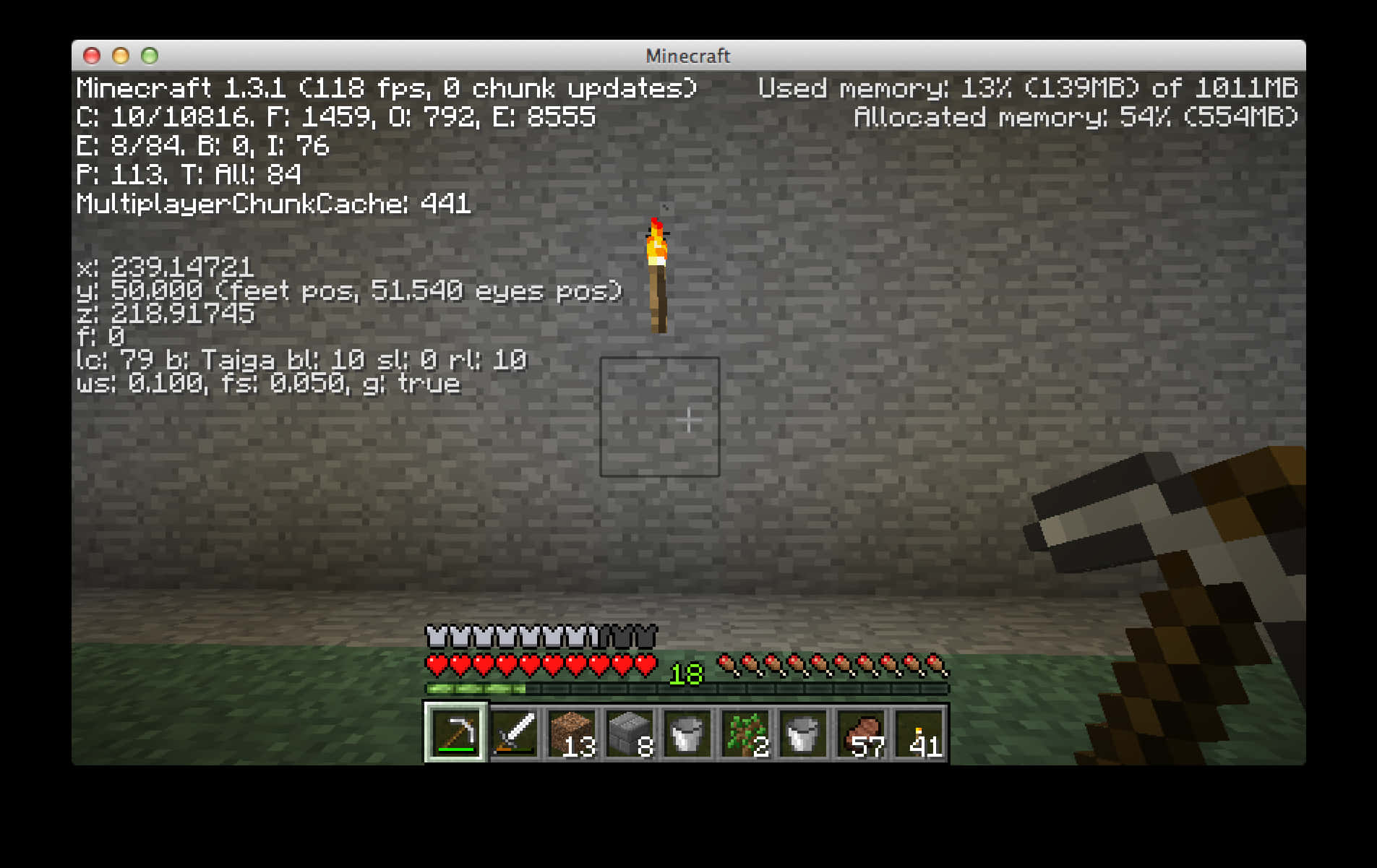 Minecraft_ Gameplay_ Screenshot_with_ Debug_ Screen PNG image