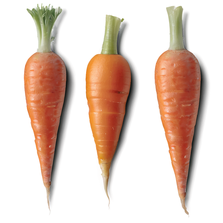 Mini Carrots Png 06132024 PNG image