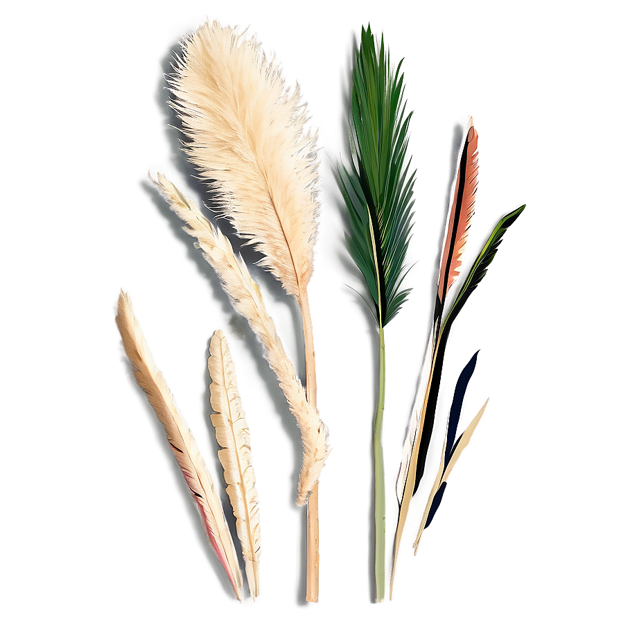 Mini Pampas Bunches Png 43 PNG image