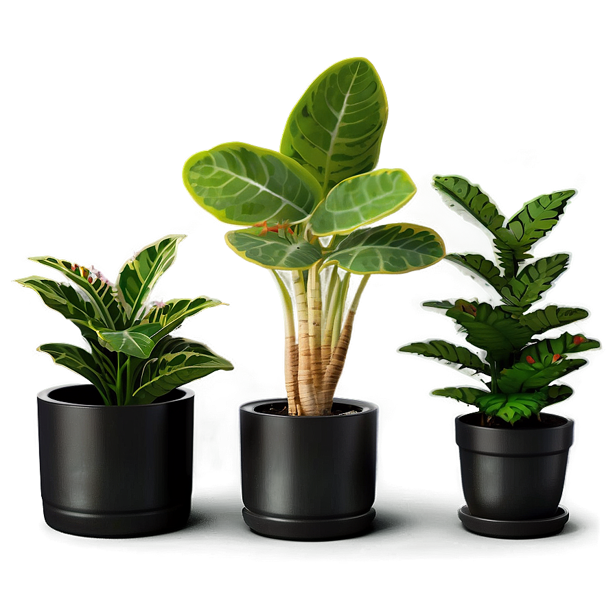 Mini Potted Plants Assortment Png Wai70 PNG image