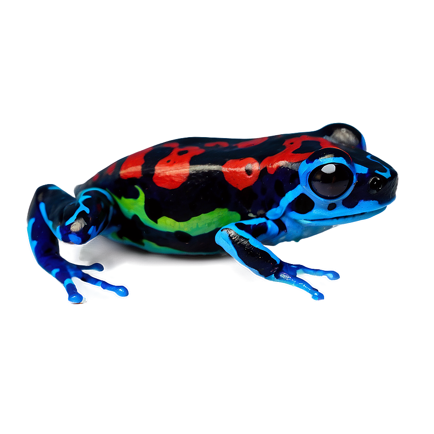 Miniature Poison Dart Frog Png Lxq66 PNG image