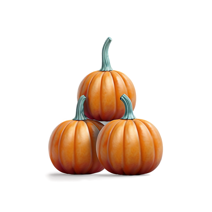 Miniature Pumpkin Collection Png 37 PNG image